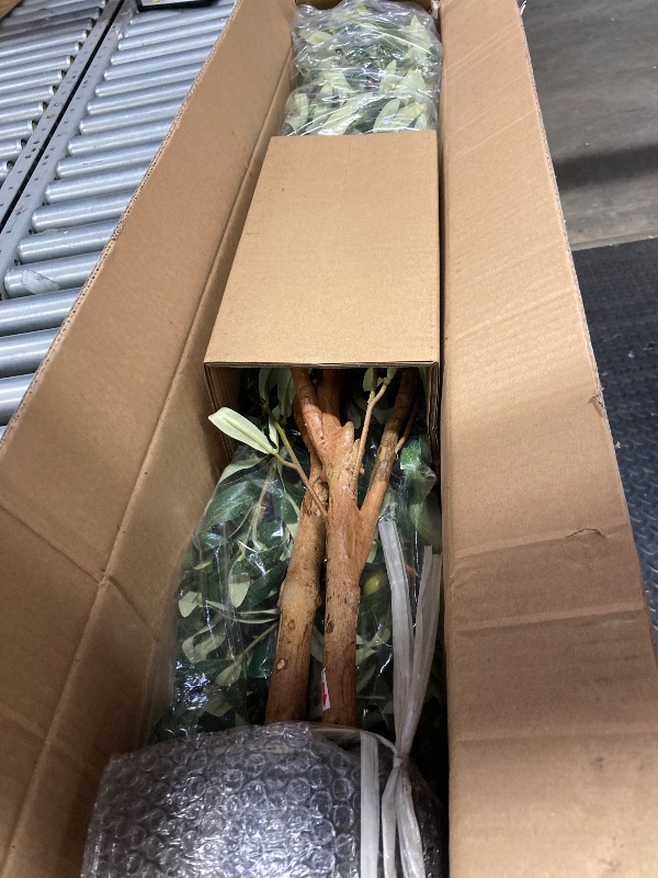 Photo 1 of 2 Pack 5 ft Artificial Olive Plants with Realistic Leaves and Natural Trunk, Silk Fake Olive Tree in Black Plastic Pot, Faux Olive Tree for Office Home
