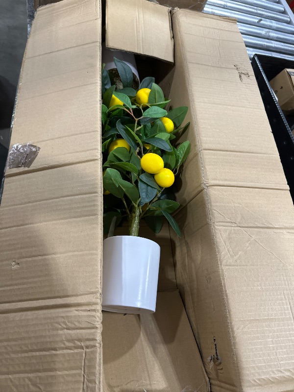 Photo 1 of Jexine 2 Pack Artificial Lemon Tree Tall Fake Plant Pre Potted Faux Lemon Tree Realistic Fruits for Indoor Home Decor Office Living Room(5 ft)