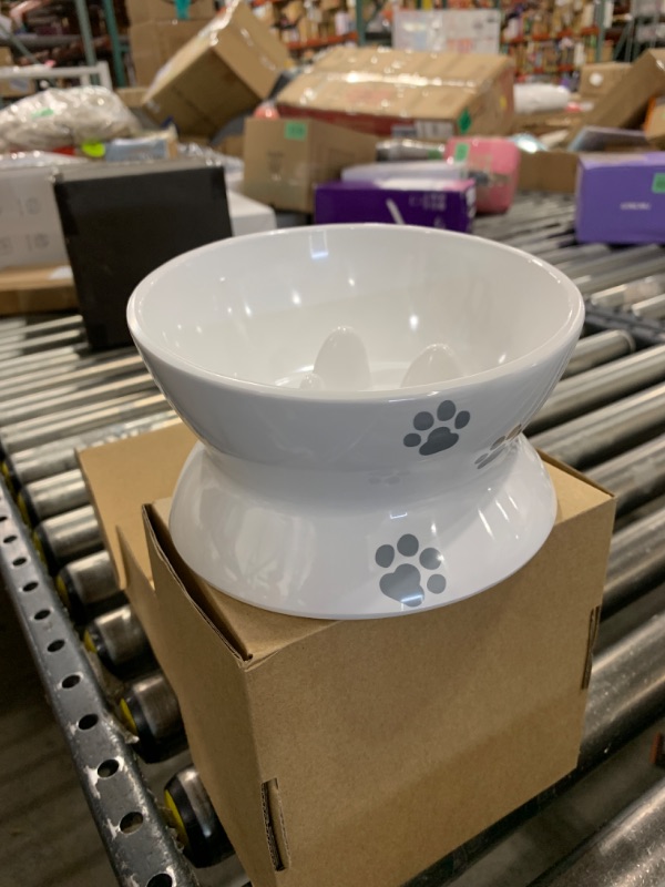 Photo 1 of Raised Cat Bowl Elevated Slow Feeder No Spill Melamine Stress Free Pet Feeder