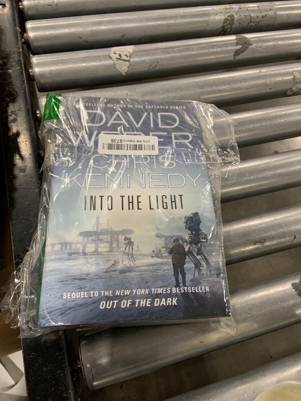 Photo 1 of 
Into the Light (Out of the Dark, 2
