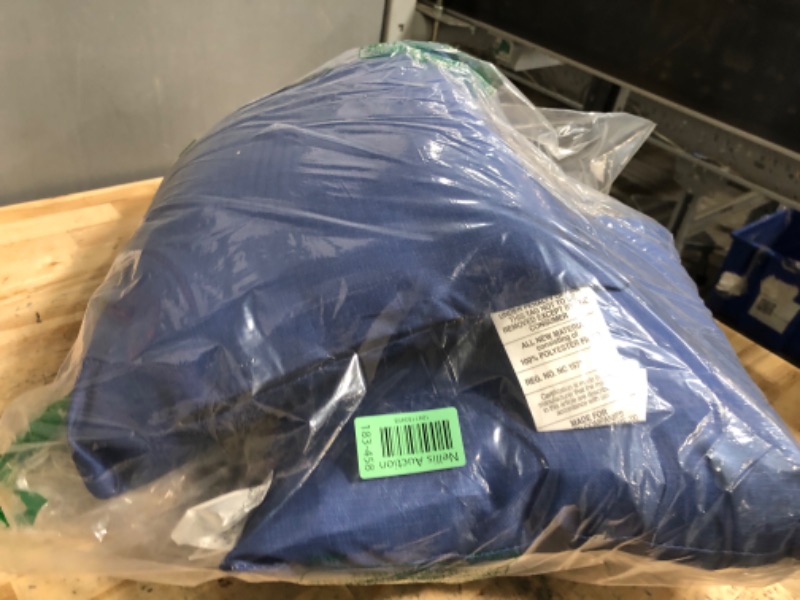Photo 1 of BLUE PILLOWS 