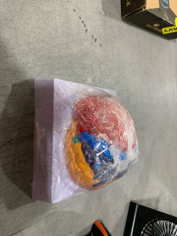 Photo 1 of QWORK Life-Size Human Brain Anatomical Model, Color-Coded Partitioned Brain, 2 Parts, Anatomically Accurate Brain Model for Science Classroom Study Display Teaching Medical Model
