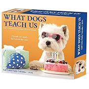 Photo 1 of Willow Creek Press Calendars, What Dogs Teach Us 2025 Desk Calendar
