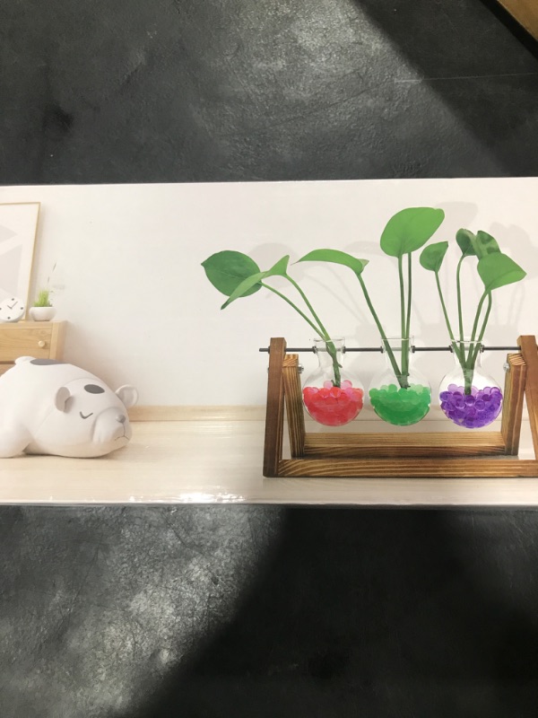 Photo 1 of GOMALL Plant Propagation Station with Wooden Stand,Mothers Day Plant Gifts for Mom,Plant Lovers,Birthday Gifts for Women,Plant Terrarium for Home Office Mothers Day Decorations-3 Bulb Vases