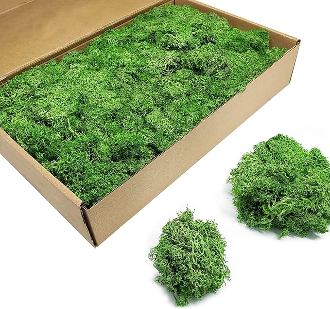 Photo 1 of TurelinnG Preserved Moss 0.88LB Reindeer Craft Moss, Fake Moss Suitable for Flowerbeds, Crafts, Home Office Artistic Decoration Green
