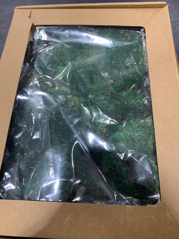 Photo 1 of TurelinnG Preserved Moss 0.88LB Reindeer Craft Moss, Fake Moss Suitable for Flowerbeds, Crafts, Home Office Artistic Decoration Green
