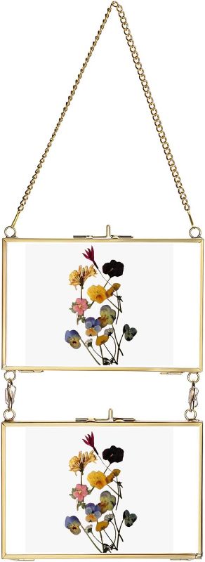 Photo 1 of JUXYES Set of 2 Wall Hanging Brass Picture Frame, Glass Hanging Picture Artwork Display Frame, Double Glass Floating Frame Style Gallery Wall Frame for Picture, Pressed Flower, Poster, etc, 4x6 Inches
