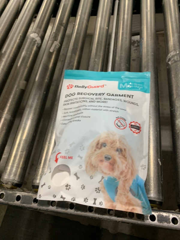Photo 1 of BellyGuard Recovery Suit for Dogs, Comfy Dog Surgery Suit (M)