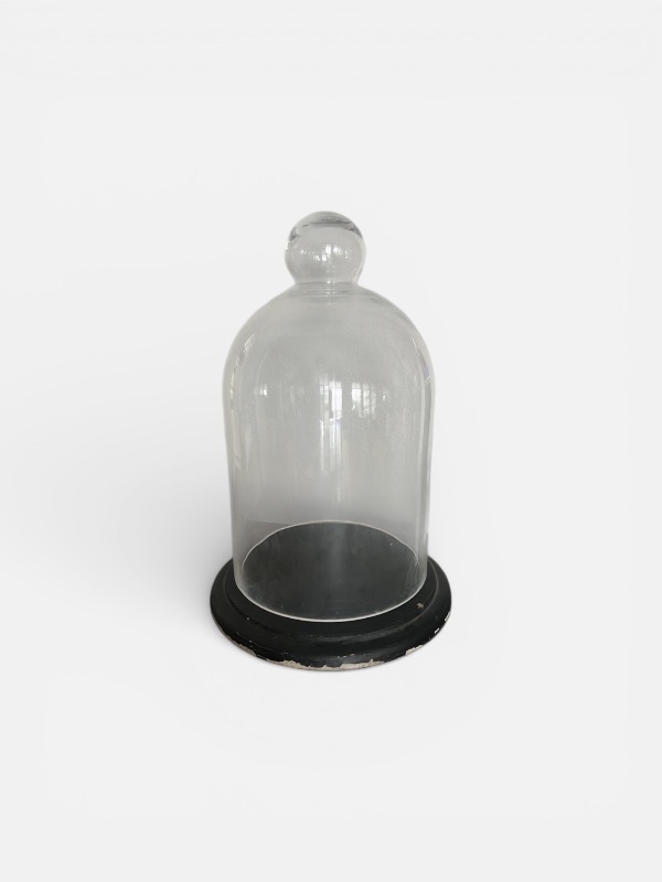 Photo 1 of GLASS DISPLAY CLOCHE WITH A BLACK BASE. 13”