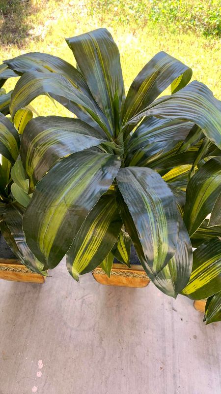 Photo 1 of THREE FAUX PLANTS 36”