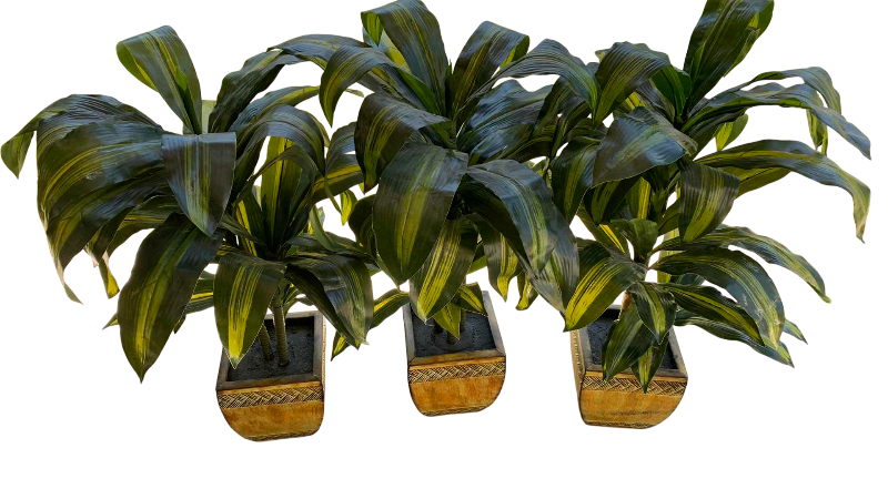 Photo 1 of THREE FAUX PLANTS 36”