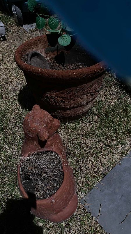 Photo 1 of PLANTERS AND BASKETS FOR PLANTS