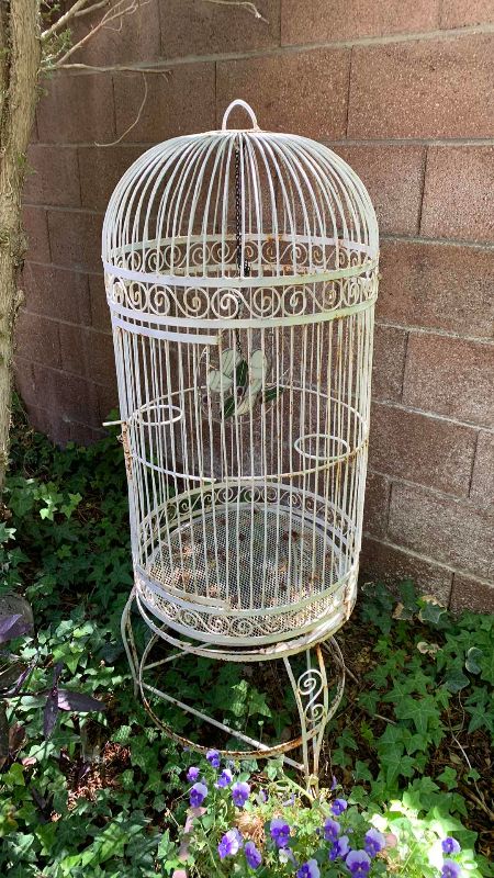 Photo 1 of METAL BIRDCAGE 52”, TRELLIS AND WATER PLATE FOR BIRDS