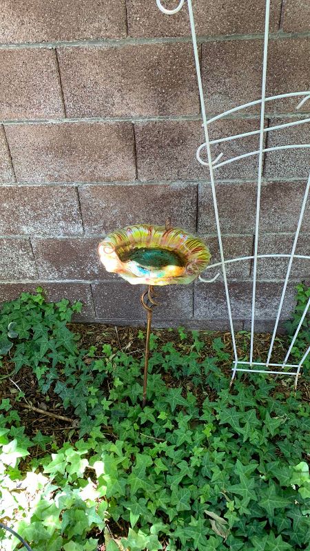 Photo 1 of METAL BIRDCAGE 52”, TRELLIS AND WATER PLATE FOR BIRDS