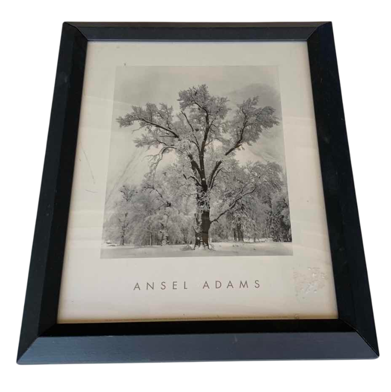 Photo 1 of ANSEL ADAMS "OAK TREE SNOWSTORM, YOSEMITE NATIONAL PARK, CALIFORNIA" PRINT 13” X 17”