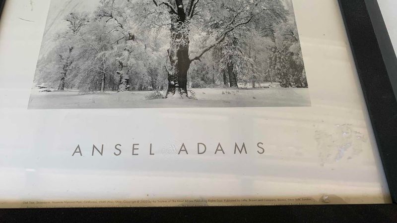 Photo 1 of ANSEL ADAMS "OAK TREE SNOWSTORM, YOSEMITE NATIONAL PARK, CALIFORNIA" PRINT 13” X 17”