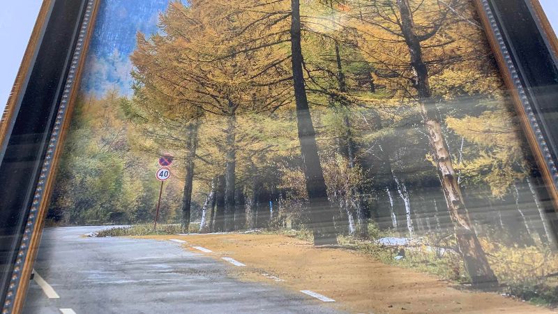 Photo 1 of RURAL FOREST ARTWORK 19” X 23”