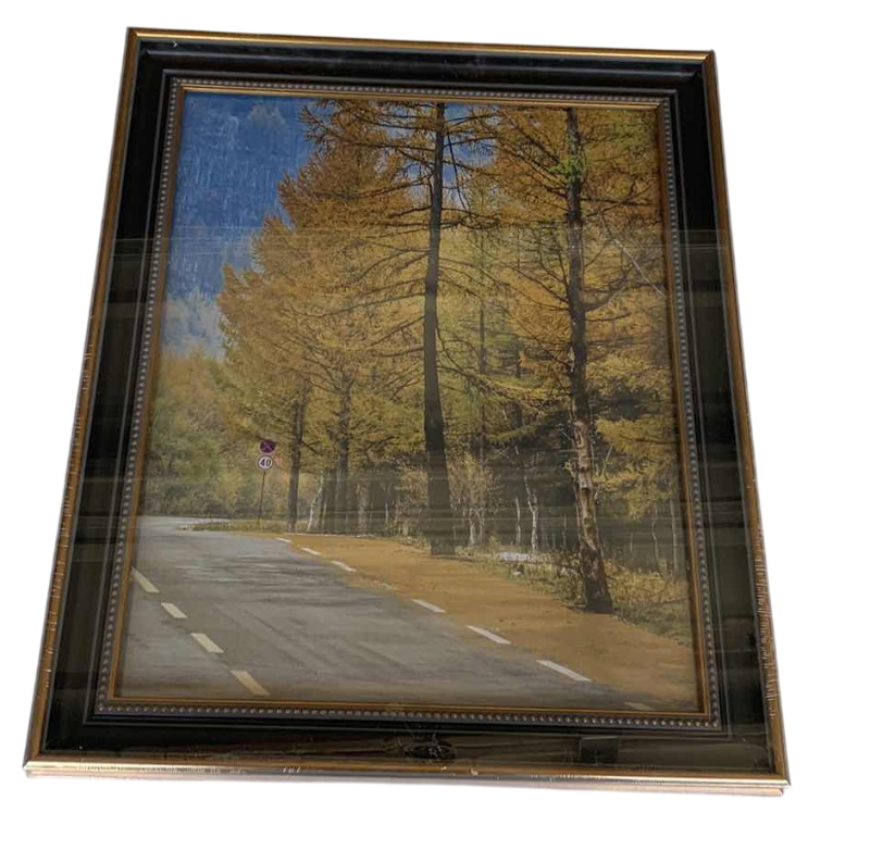 Photo 1 of RURAL FOREST ARTWORK 19” X 23”
