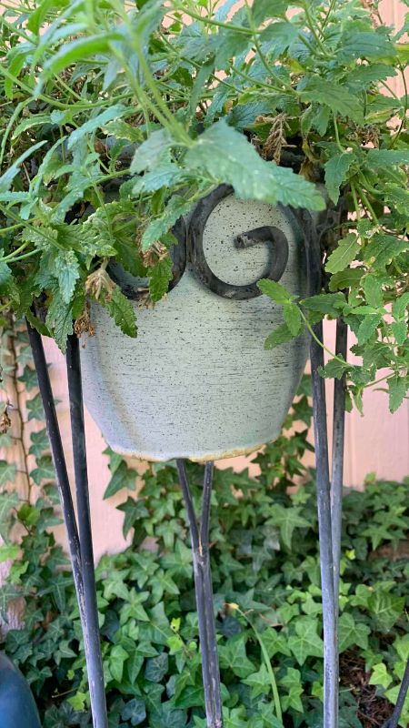 Photo 1 of LIVE LEMON BALM PLANT IN 36” POT STAND