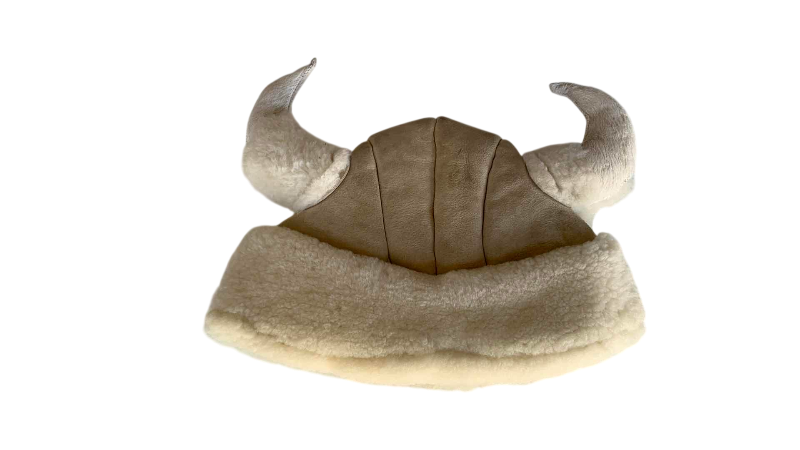 Photo 1 of VIKING STYLE HAT