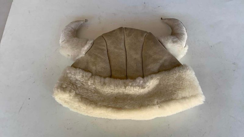 Photo 1 of VIKING STYLE HAT