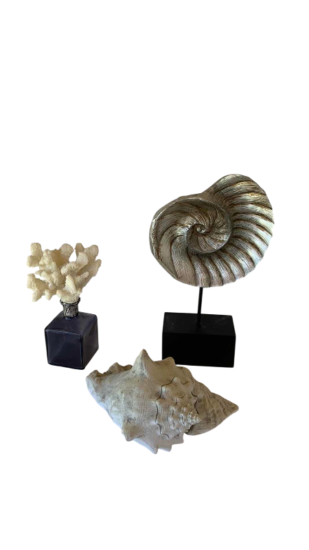 Photo 1 of OCEAN THEMED HOME DECOR