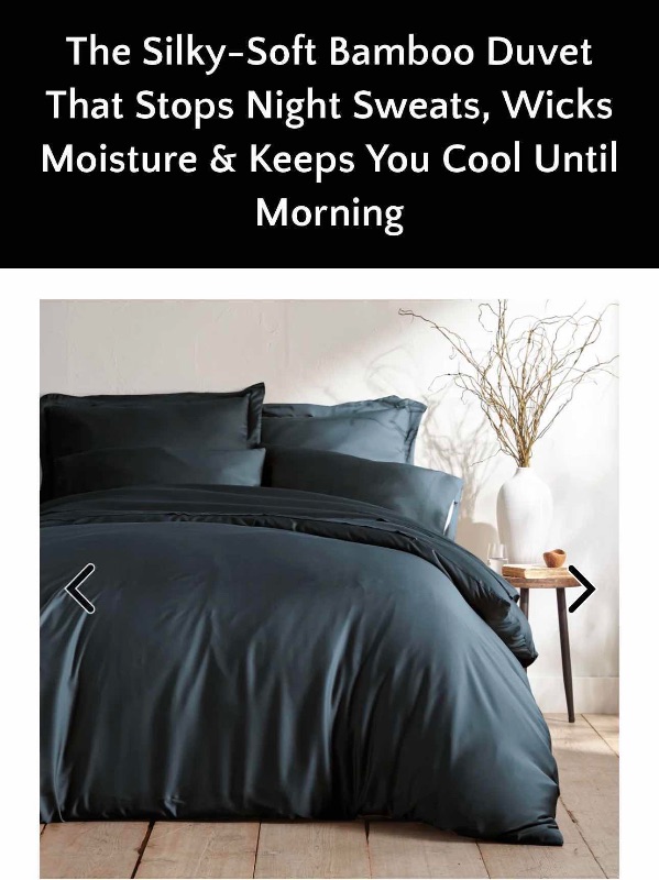 Photo 1 of BAMBOO IS BETTER BAMBOO DUVET COLLECTION FULL- QUEEN - 90” X 90” SLATE