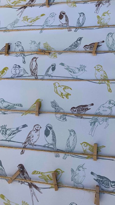 Photo 1 of BIRD MEMO BOARD  ARTWORK 24" X 36"
