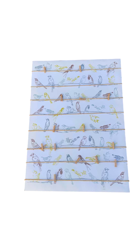 Photo 1 of BIRD MEMO BOARD  ARTWORK 24" X 36"