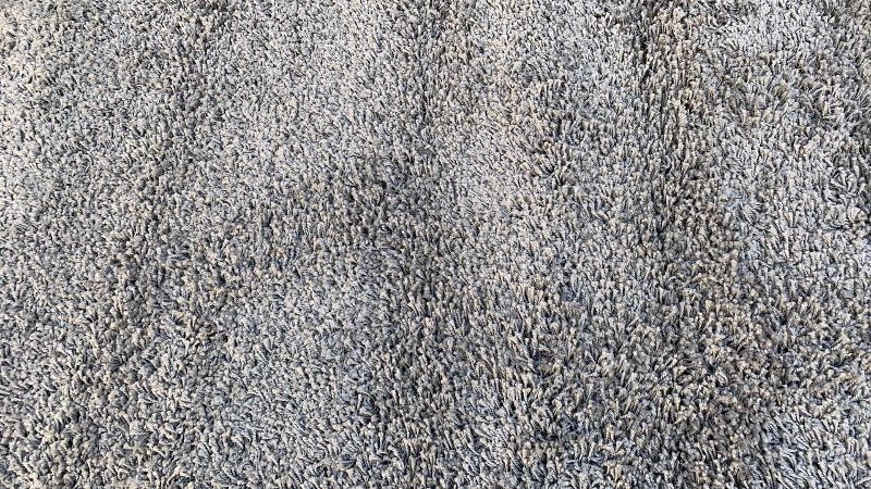 Photo 1 of AREA RUG 4' X 6’
