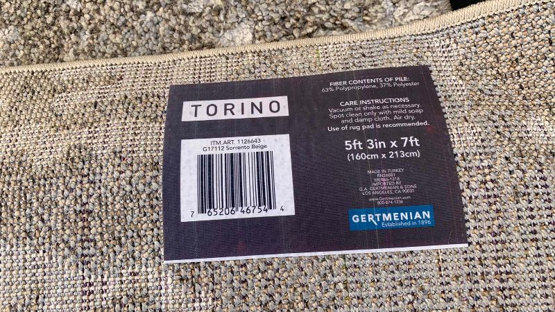 Photo 1 of TORINO AREA RUG 5’ X 7’
