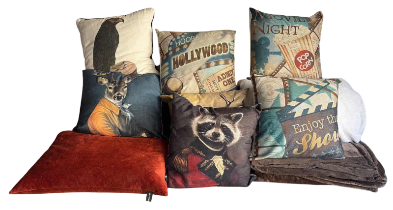 Photo 1 of ANIMAL THEMED COUCH PILLOWS 16” X 16” AND FLEECE BLANKETS KING SIZE