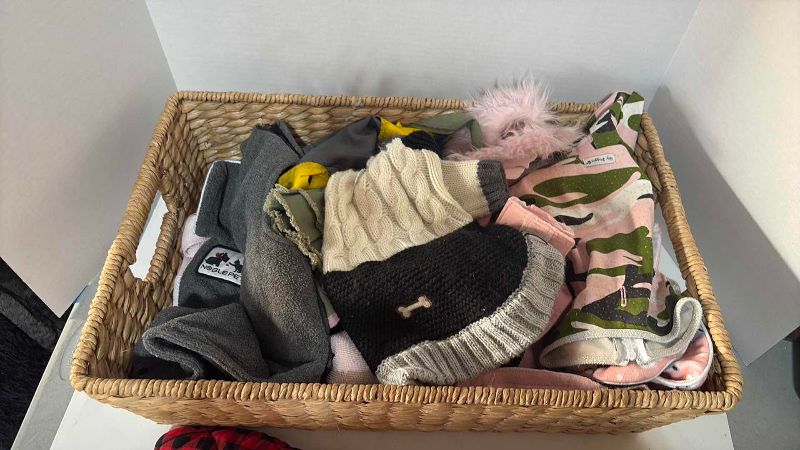 Photo 1 of BASKET OF PUPPY CLOTHES SMALL