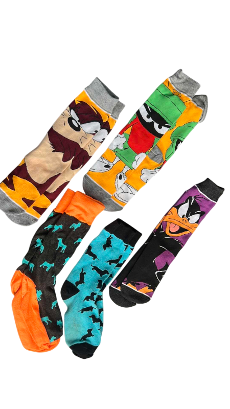 Photo 1 of FUN SOCKS SET OF 5