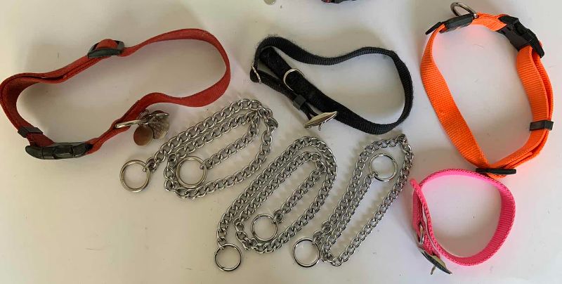 Photo 1 of DOG COLLARS, A LEASH & SWIVEL BOLT SNAPS