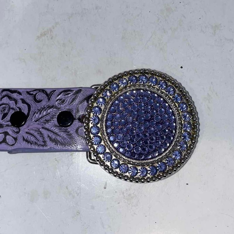 Photo 1 of 3-FASHION BELTS