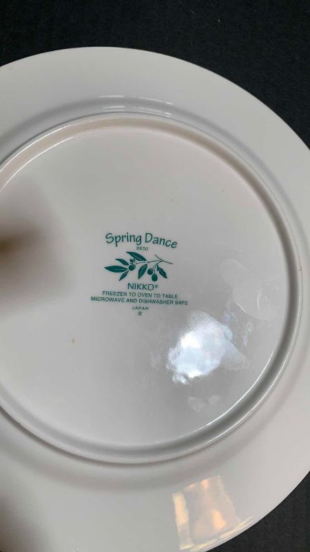Photo 1 of 10-NIKKO SPRING DANCE DINNER PLATES