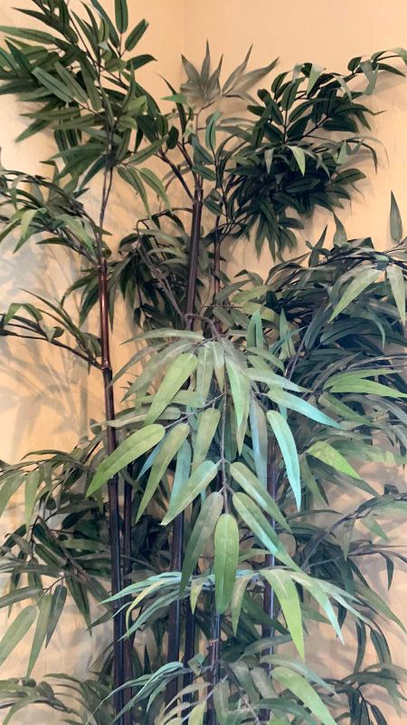 Photo 1 of FAUX BAMBOO TREE WITH ASIAN VASE 92” TALL INCLUDING VASE