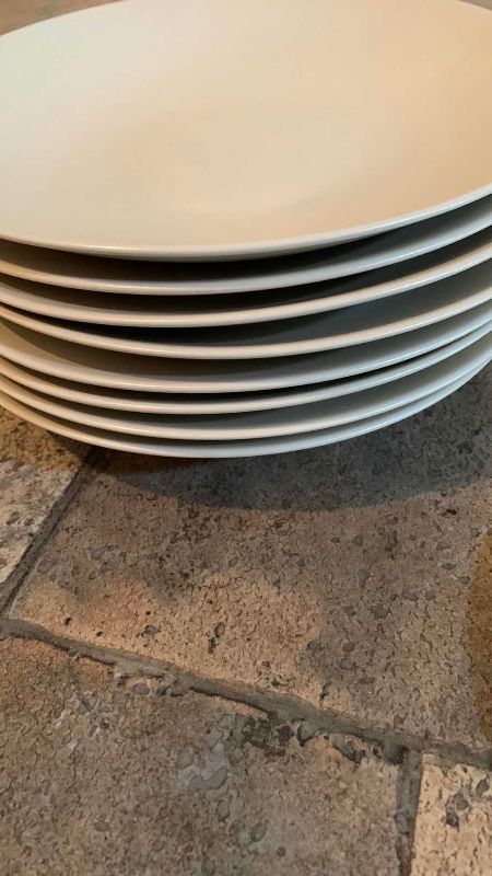 Photo 1 of TURKEY SERVICE PLATES AND LARGE DINNER PLATES