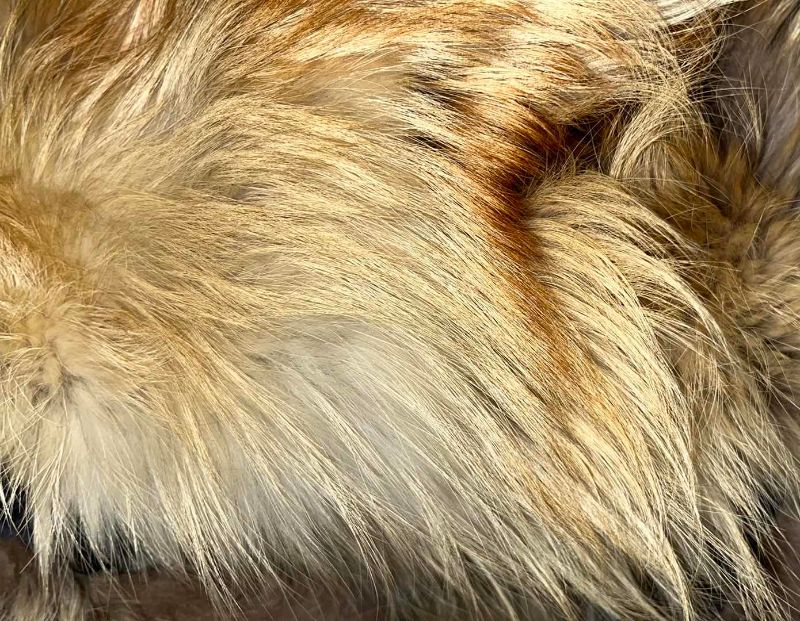 Photo 1 of REAL FUR HAT