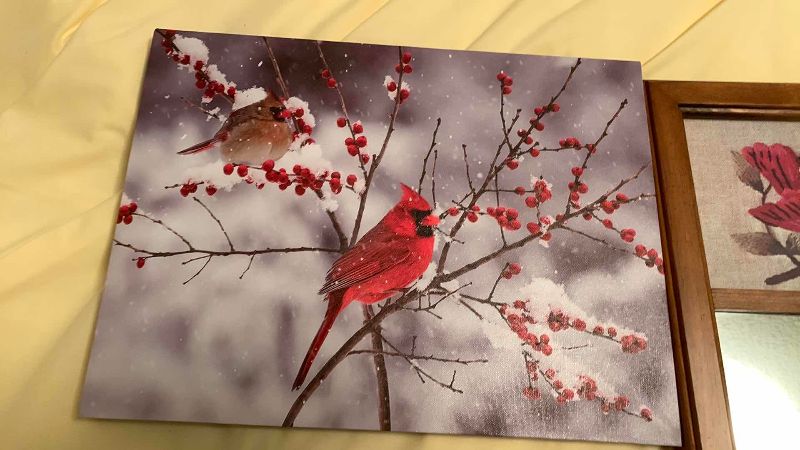 Photo 1 of RETIRED TY BEANIE BABY “ROCKET” BLUEBIRD AND CARDINAL ARTWORK 16” X 12”