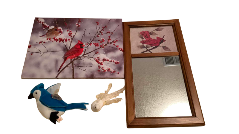 Photo 1 of RETIRED TY BEANIE BABY “ROCKET” BLUEBIRD AND CARDINAL ARTWORK 16” X 12”