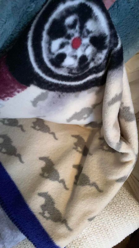 Photo 1 of LINENS AND BLANKETS