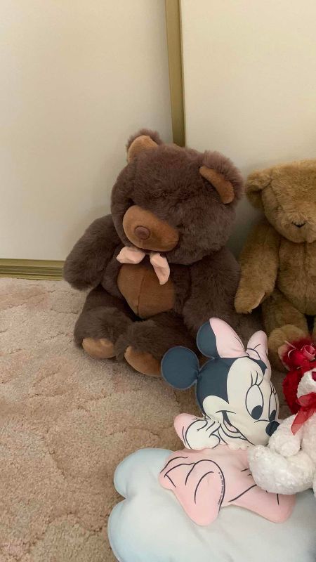 Photo 1 of STUFFED ANIMALS