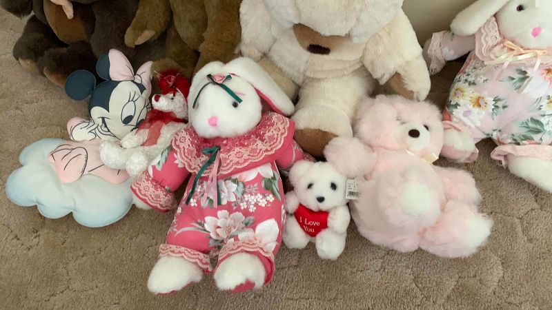 Photo 1 of STUFFED ANIMALS