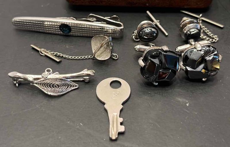 Photo 1 of SILVER AND GOLD TONE PINS/CLIPS