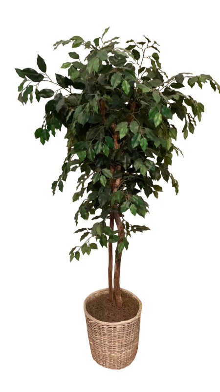 Photo 1 of FAUX TREE 72”