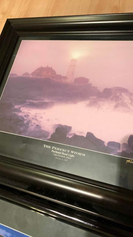 Photo 1 of FRAMED ARTWORK PERFECT STORM