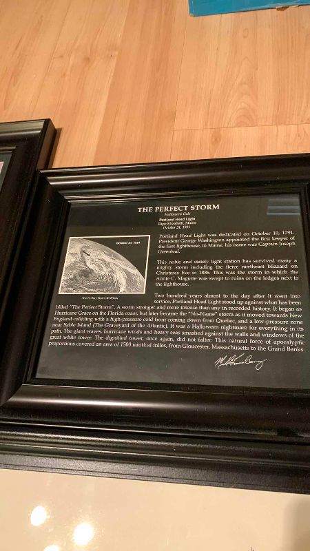 Photo 1 of FRAMED ARTWORK PERFECT STORM