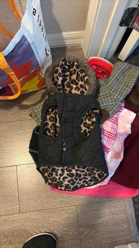 Photo 1 of DOG SWEATERS SIZE SMALL